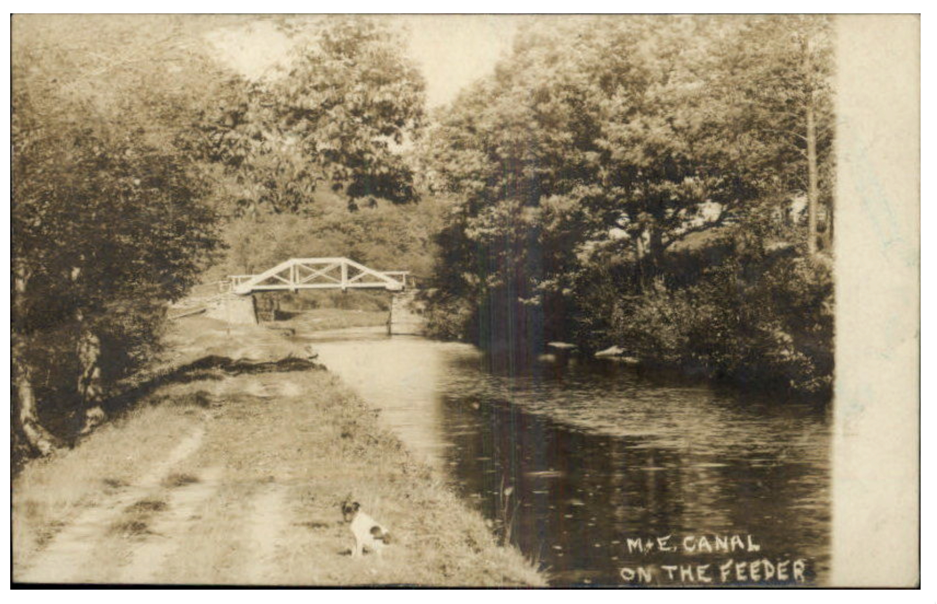 Lake Hopatcong - Along the Feeder - Morris Canal - c 1910
